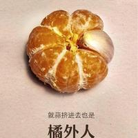 1995猪猪暴富头像