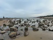 pilgrimage370的个人资料头像