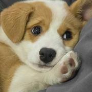 Gc的个人资料头像