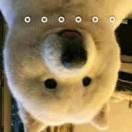 小李不想说话73702的个人资料头像