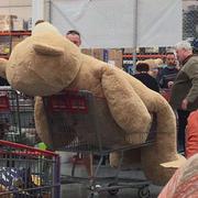 忘崽的个人资料头像