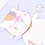 安_兹的个人资料头像