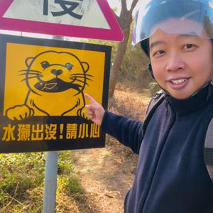 行走的番茄头像