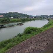 123291的个人资料头像