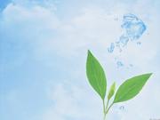 Surcy的个人资料头像