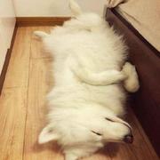 Zickea的个人资料头像