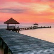 _wzl_的个人资料头像