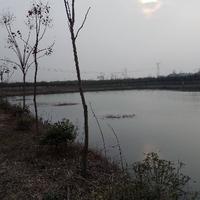 阿尔卑斯山下的农民头像