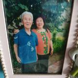 老来乐47787头像