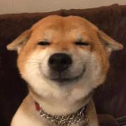 多吃就稳重啦的个人资料头像