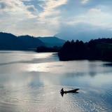 直爽的魏钱所困头像