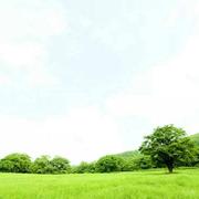 天涯322的个人资料头像