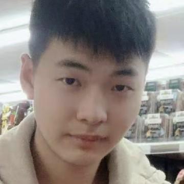 诗意熊猫OPZ头像