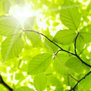 周存又又的个人资料头像