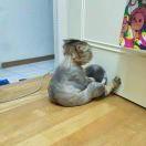 Z本尊39919的个人资料头像