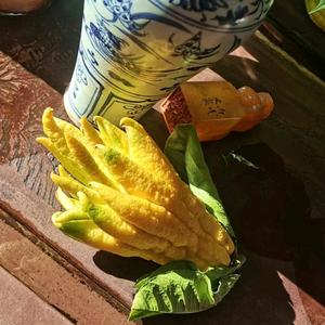 落锦堂头像