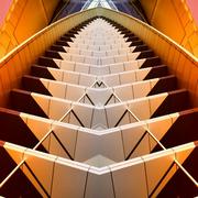 招楚荣的个人资料头像