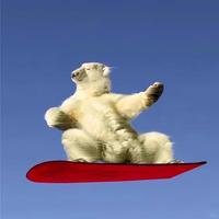 布丁拿铁左手拿头像