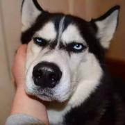 就你是rap啊的个人资料头像