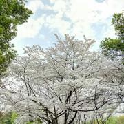 小波676的个人资料头像