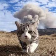 yi橙的个人资料头像