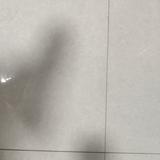 健康比尔0v头像