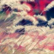 Hui的个人资料头像