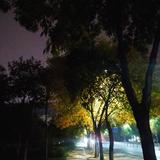 英雄末路狂奔头像