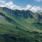 TAO908的个人资料头像