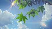 Leahy的个人资料头像