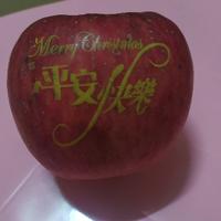 嗦珍珠头像