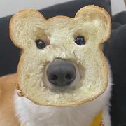 tiyoo的个人资料头像