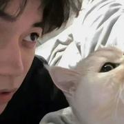 胜春朝的个人资料头像