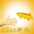 Sun多魚头像