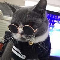 蔡小菜头像