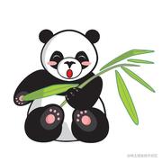 小芳林的个人资料头像