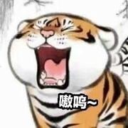 布吉岛992的个人资料头像