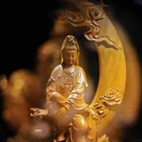 和平马少丰头像