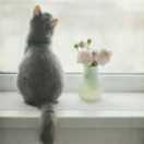 weilan的个人资料头像