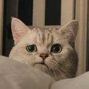 Ajax666的个人资料头像