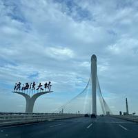 骑哈士奇环游世界头像