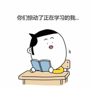 呆码芝士的个人资料头像