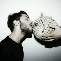 用户4312615578470头像