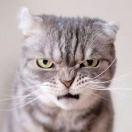 逆光飞行君的个人资料头像