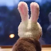 追风去310的个人资料头像