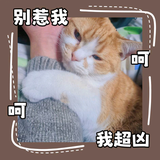 儿童互动玩具头像