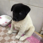 登录专用的个人资料头像