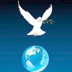 自由鸟ZYP头像