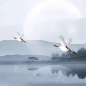 闲云野鹤头像