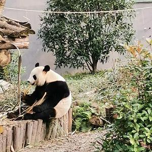 幸福快乐2J7u头像